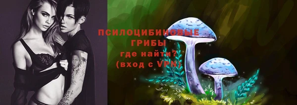 амф Майский