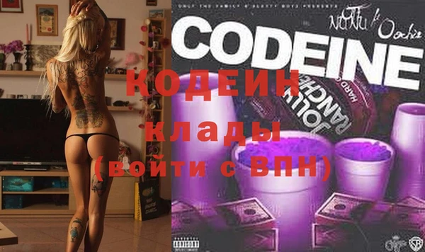 крисы Магас