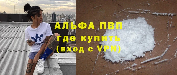 крисы Магас