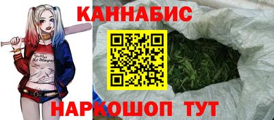 сатива Бийск