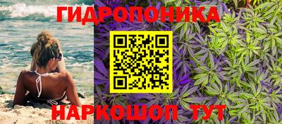 гашик Абакан