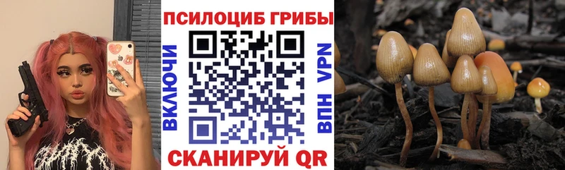 Галлюциногенные грибы Psilocybe Гусь-Хрустальный