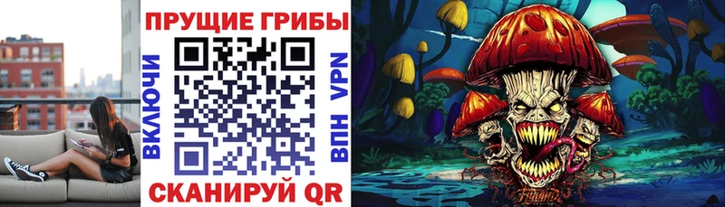закладка Гусь-Хрустальный Псилоцибиновые грибы Magic Shrooms