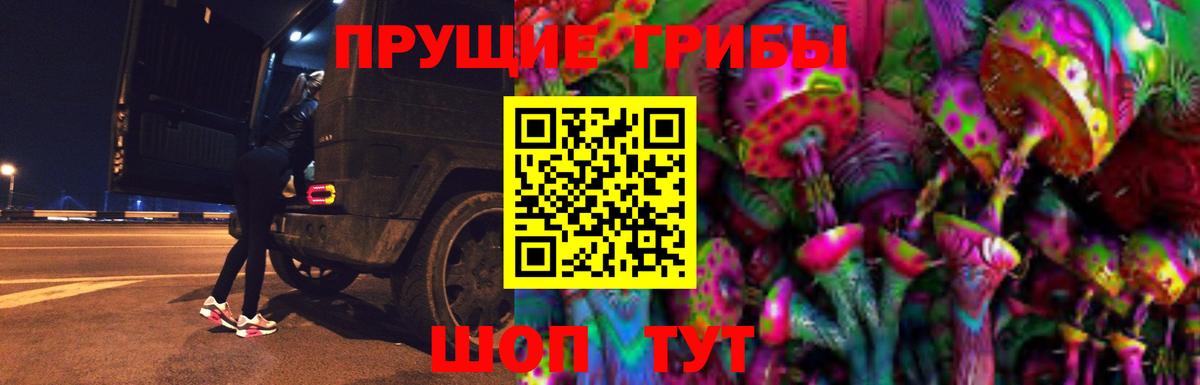 Псилоцибиновые грибы Cubensis Гусь-Хрустальный
